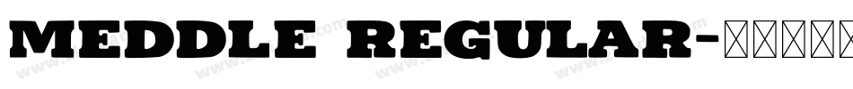 Meddle Regular字体转换